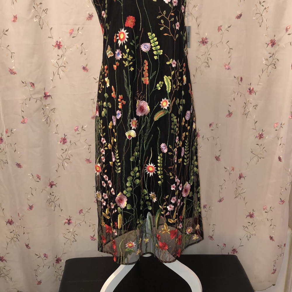 NWT Ecru Embroidered Dress - Picture 12 of 15